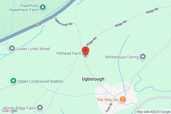 Ivybridge