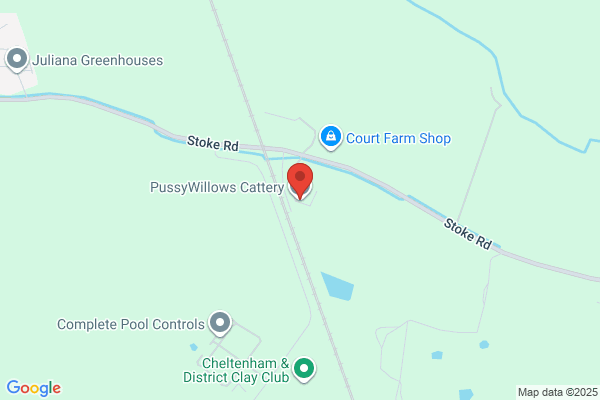 Pussywillow Veterinary Clinic