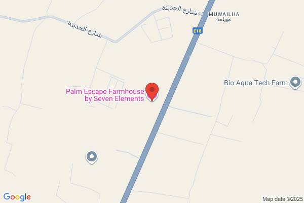 The Palm Farm