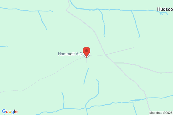A C Hammett