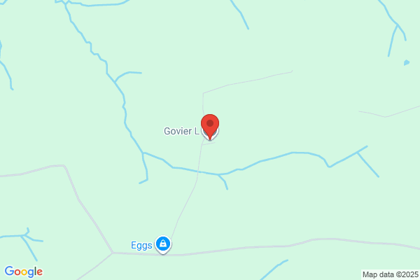 B Govier