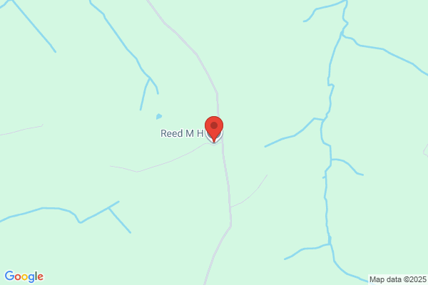 M H Reed
