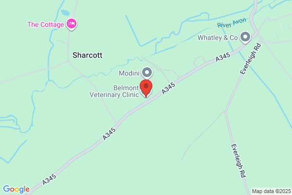 Belmont House Veterinary Surgery