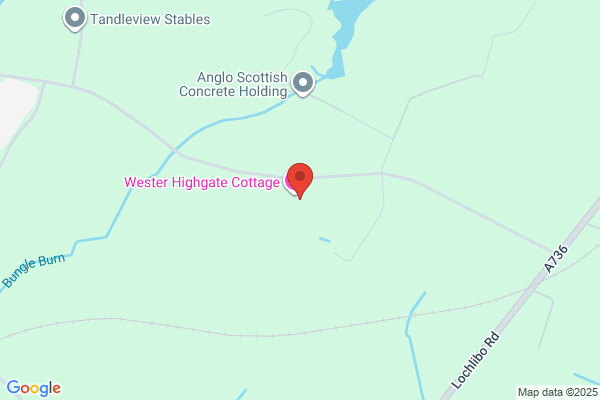 Wester Highgate Cattery