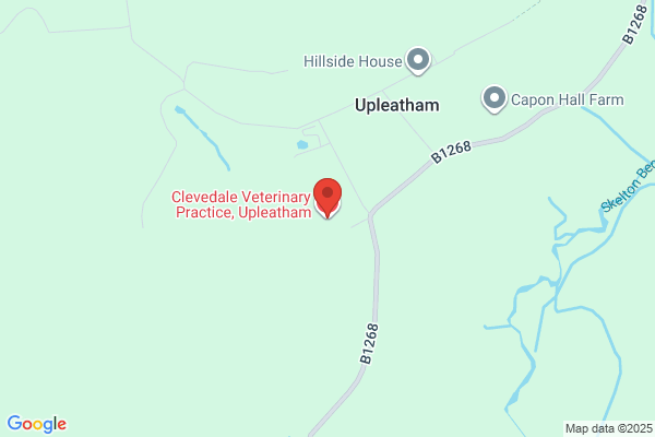 Clevedale Veterinary Practice, Upleatham Equine