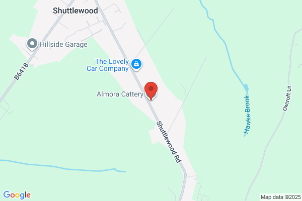 Almora Cattery