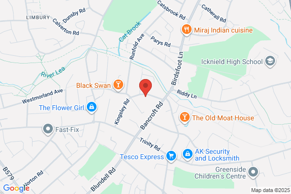 Mink Lashes