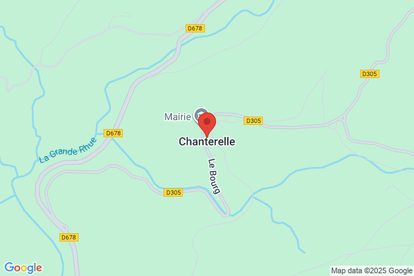 Chanterelle