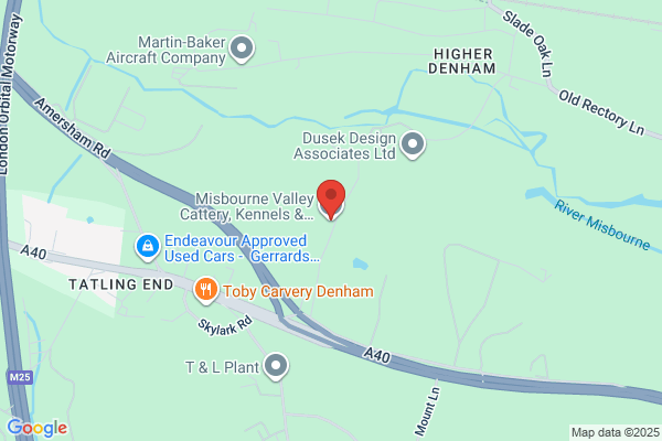 Misbourne Valley Cattery & Bunny Hotel