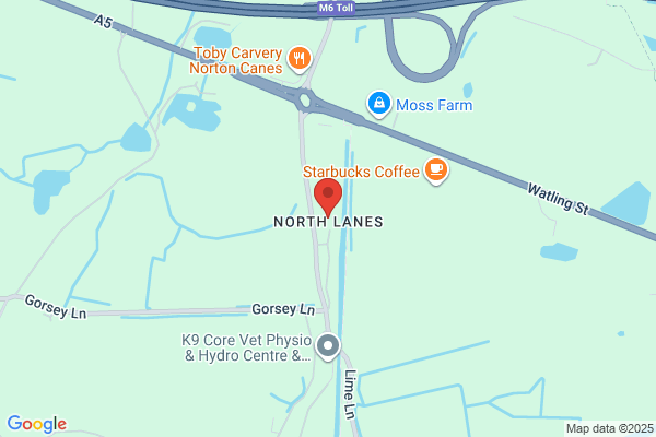 Norton Canes