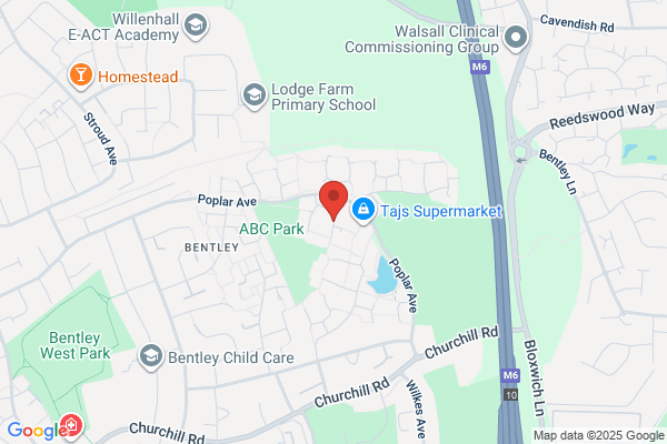 Steve Molyneux Tree Services