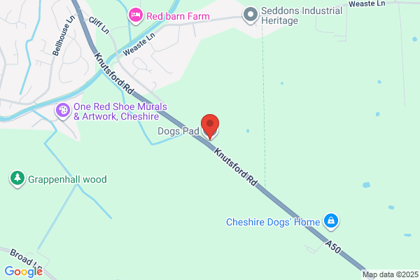 Dogs Pad