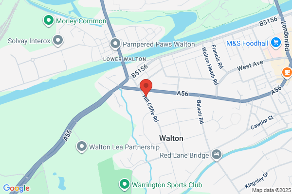 Wilkinson Special Projects