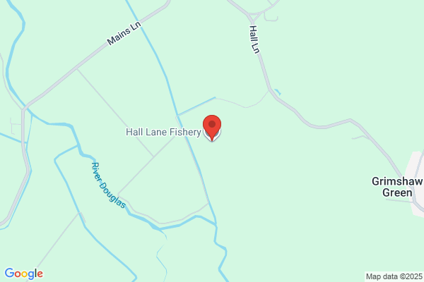 Frank's Fish