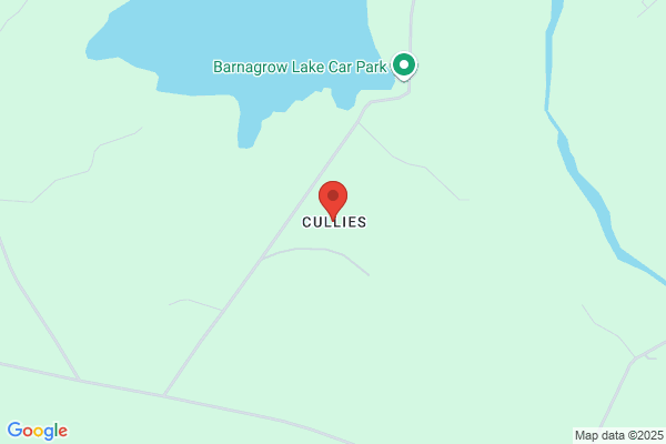 Cullis N.B.