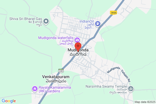 Dr N Mudigonda