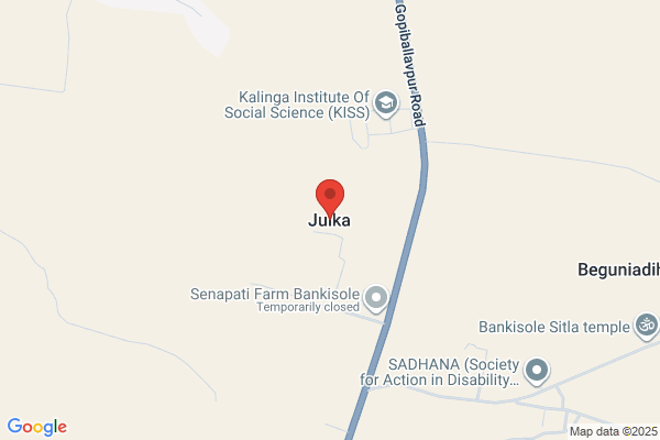 S K Julka