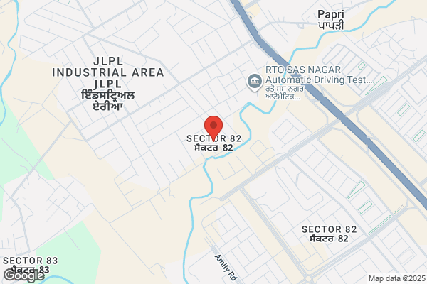 M S P Services