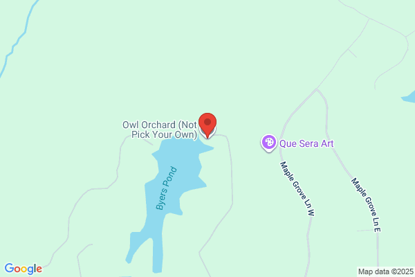 Orchard Owls