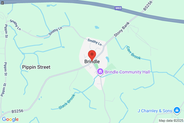 Brindle