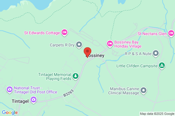 Bossiney House Hotel