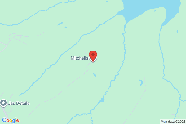 Mitchells