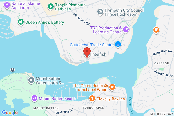 Interfish
