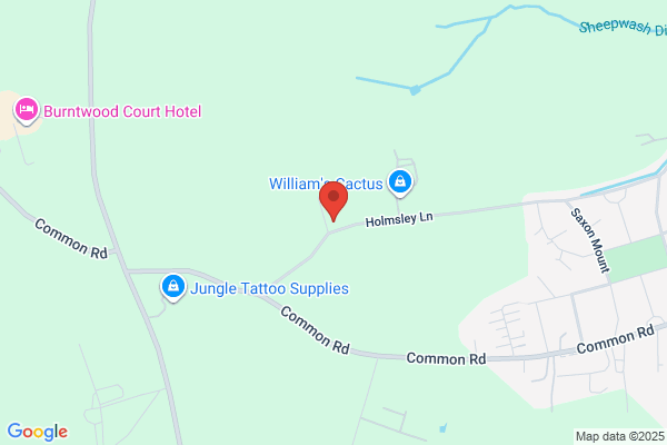 DK9 Academy - Dog Training