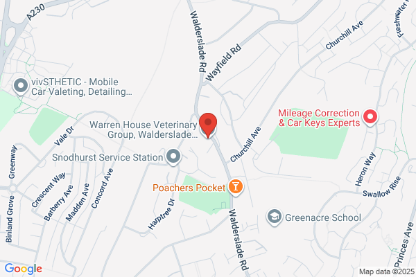 Walderslade Veterinary Surgery
