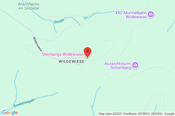 Steinbergs