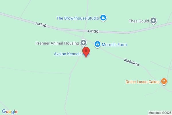 Avalon Kennels