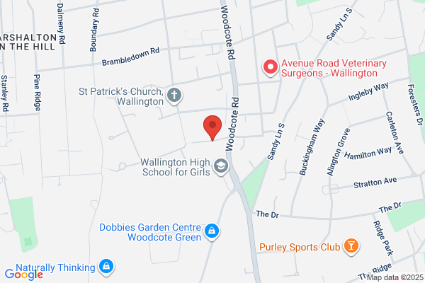 The Podiatry & Foot Care Clinic