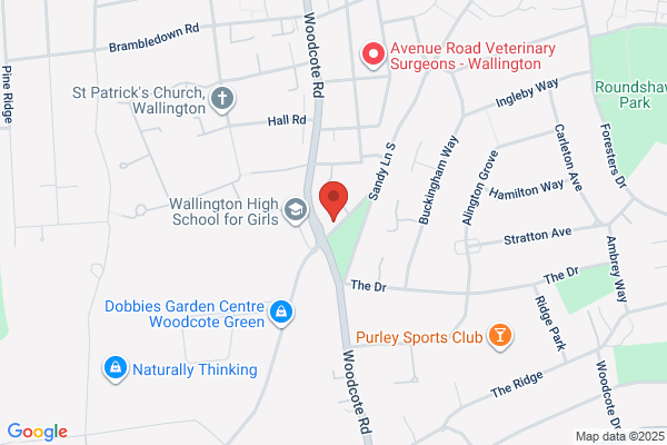 Rapley Motors