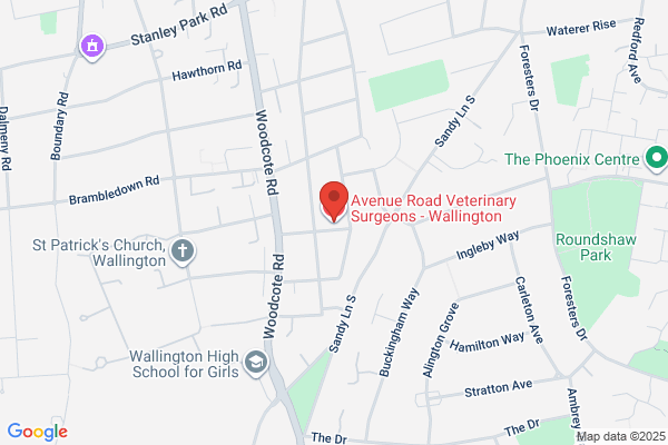 Avenue Road Veterinary Surgeons - Wallington