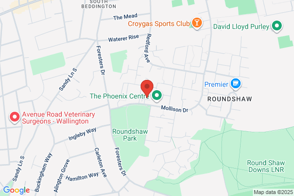 Roundshaw Express