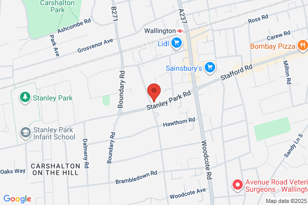 Sutton Opportunity Group
