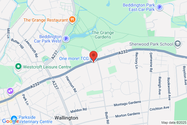 Jade Dragon