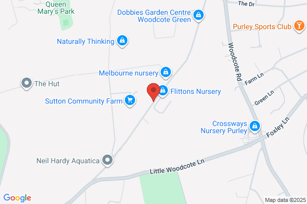 Payne's Sparkle