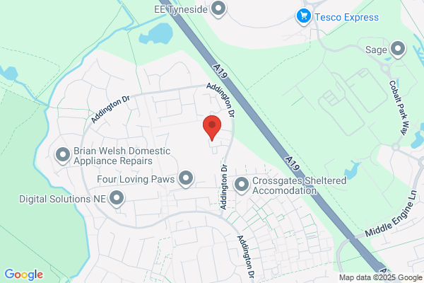 Davison Chemist Ltd