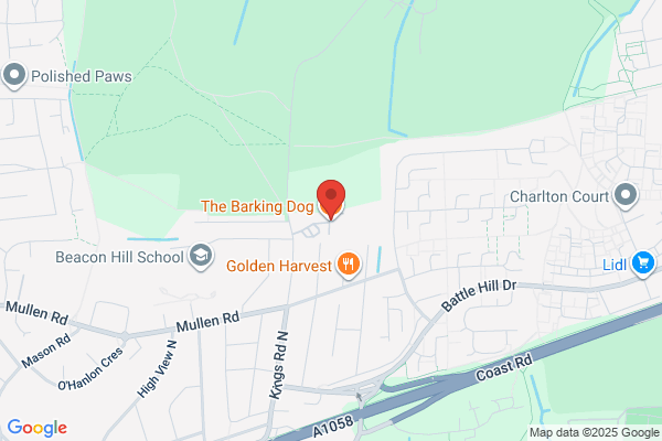 Barking Dog Sports Club
