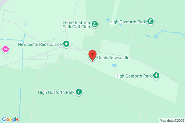Goals Newcastle