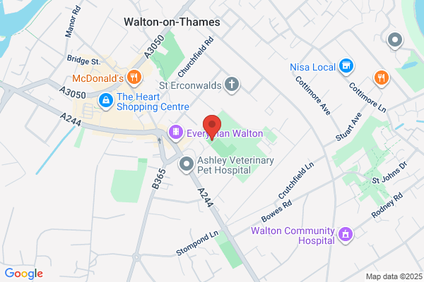 Elmbridge Community Link