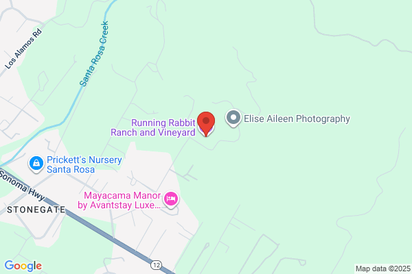 Rabbit Run Events