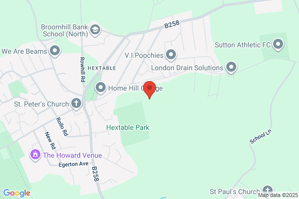 Evergreen Tree Services