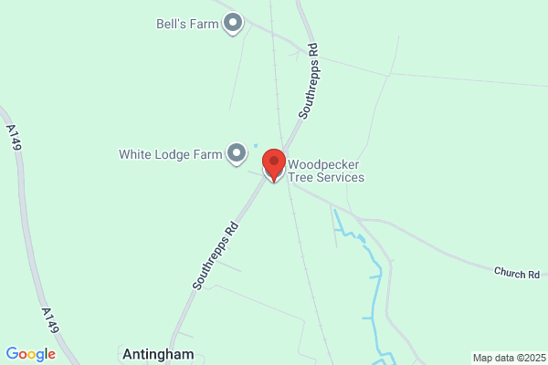 Woodpecker Tree Services