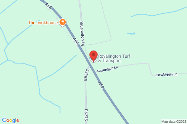 Royalington Turf