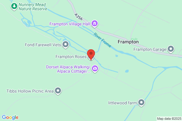 Frampton Roses
