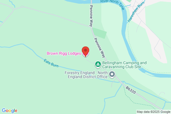 Brown Rigg