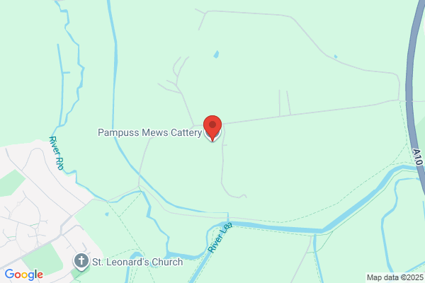 Pampuss Mews Cattery