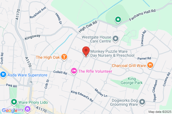 Monkey Puzzle Ware Day Nursery & Preschool